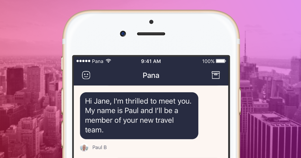 Imagem de apresentacao chatbot Pana